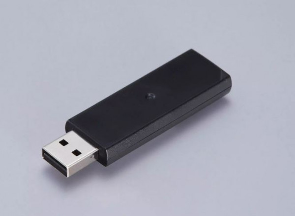 Wireless LAN Interface-P1 (5GHz)