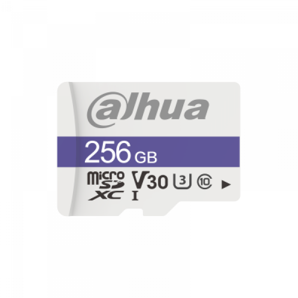 MicroSD Dahua TF-C100/256GB