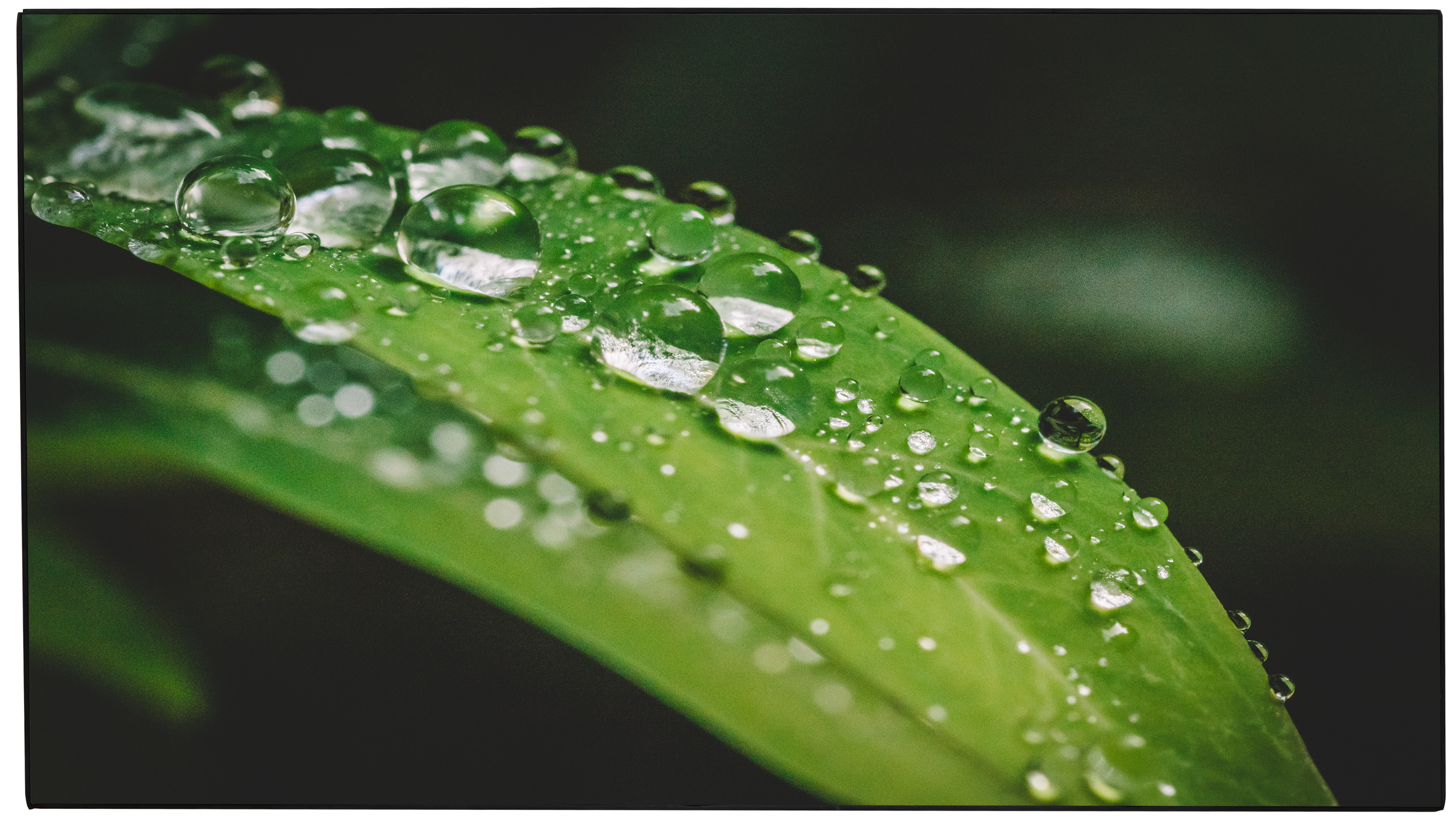 Dahua Videofal kijelző 65" DHI-LS650KCM-UF, 24/7, UHD, 500