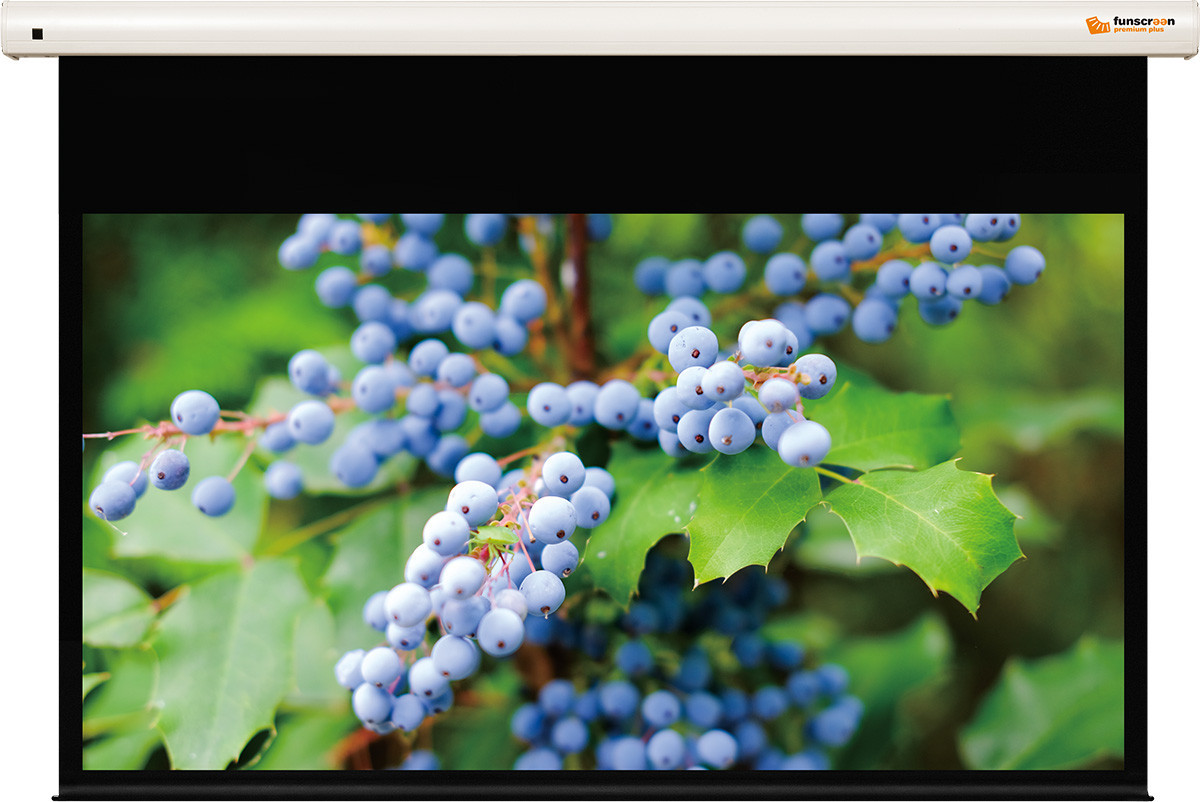 Funscreen Pr.Plus Motor elektromos vetítővászon 16:9 137x244